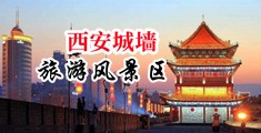 爆操黑丝荡妇中国陕西-西安城墙旅游风景区