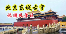 白虎射精中国北京-东城古宫旅游风景区